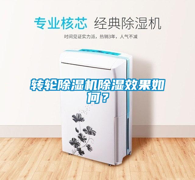 轉輪除濕機除濕效果如何？