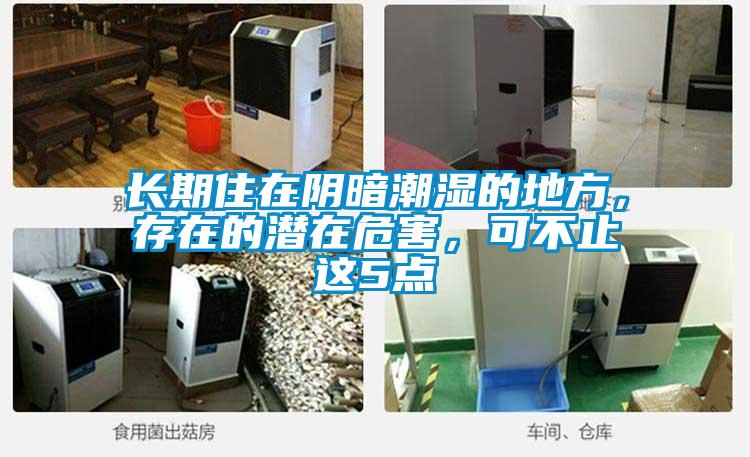 長期住在陰暗潮濕的地方，存在的潛在危害，可不止這5點