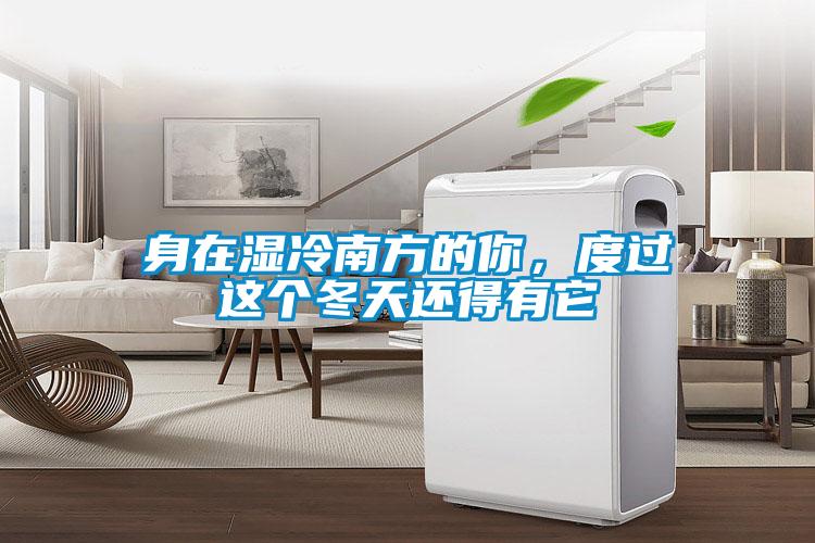 身在濕冷南方的你，度過這個冬天還得有它