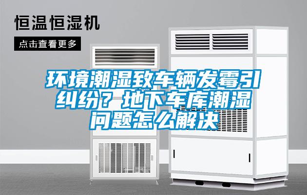 環(huán)境潮濕致車輛發(fā)霉引糾紛？地下車庫(kù)潮濕問題怎么解決