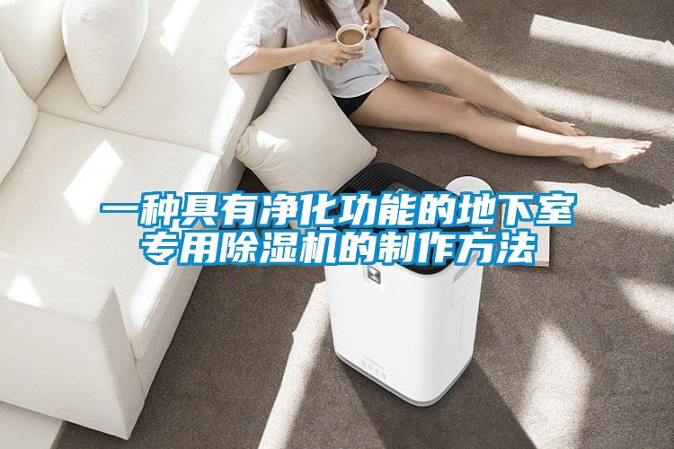 一種具有凈化功能的地下室專用除濕機的制作方法