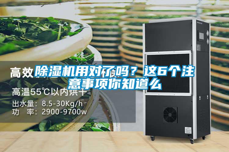 除濕機用對了嗎？這6個注意事項你知道么