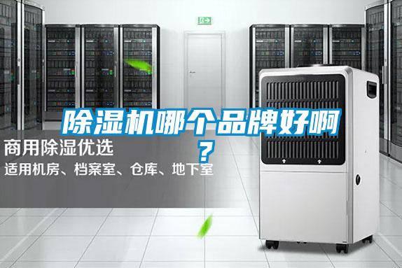 除濕機哪個品牌好啊？