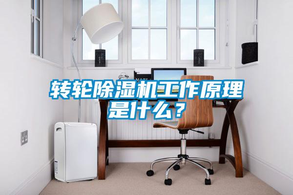 轉輪除濕機工作原理是什么？