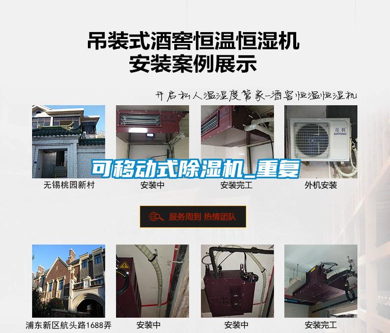 可移動式除濕機_重復