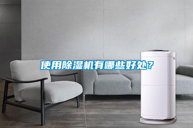 使用除濕機有哪些好處？