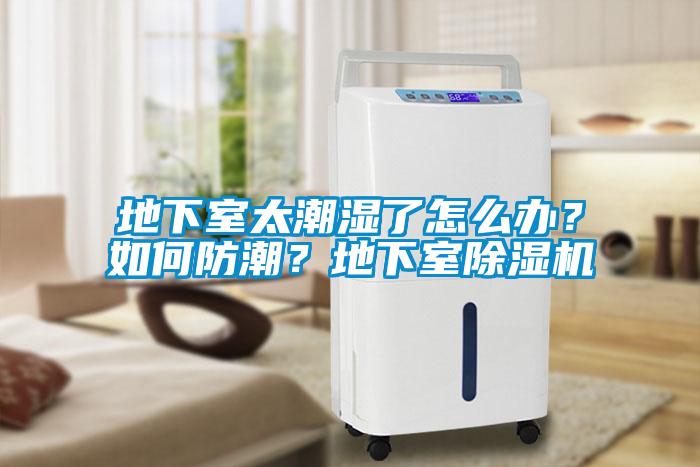 地下室太潮濕了怎么辦？如何防潮？地下室除濕機(jī)