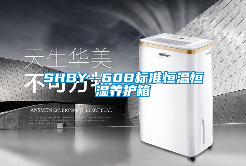 SHBY--60B標準恒溫恒濕養護箱