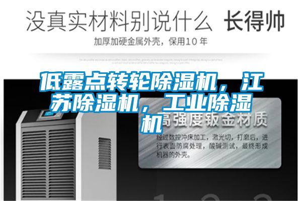 低露點(diǎn)轉(zhuǎn)輪除濕機(jī)，江蘇除濕機(jī)，工業(yè)除濕機(jī)