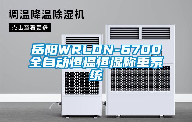 岳陽(yáng)WRLDN-6700全自動(dòng)恒溫恒濕稱(chēng)重系統(tǒng)