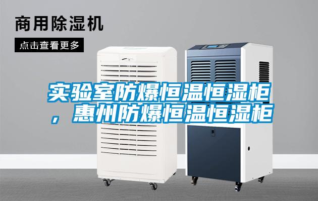 實(shí)驗(yàn)室防爆恒溫恒濕柜，惠州防爆恒溫恒濕柜