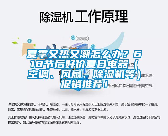 夏季又熱又潮怎么辦？618節(jié)后好價夏日電器（空調(diào)、風扇、除濕機等）促銷推薦！
