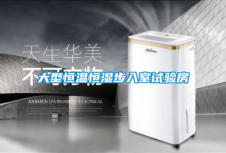大型恒溫恒濕步入室試驗房