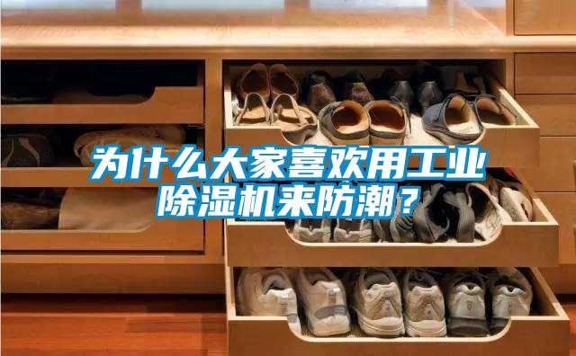 為什么大家喜歡用工業除濕機來防潮？