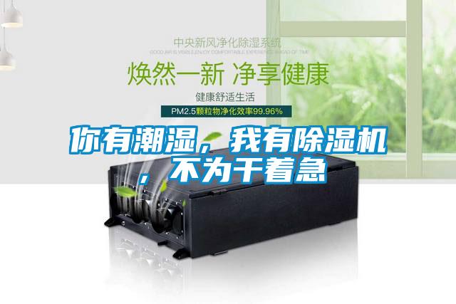 你有潮濕，我有除濕機，不為干著急