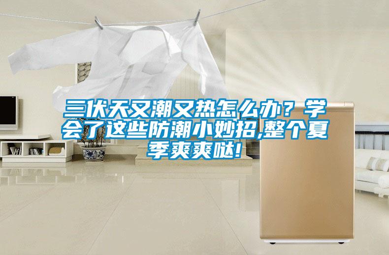 三伏天又潮又熱怎么辦？學(xué)會了這些防潮小妙招,整個夏季爽爽噠!