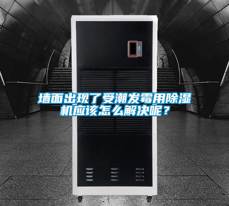 墻面出現了受潮發霉用除濕機應該怎么解決呢？