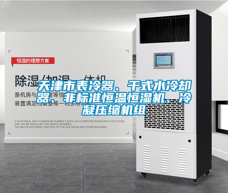 天津市表冷器、干式水冷卻器、非標準恒溫恒濕機、冷凝壓縮機組