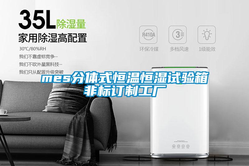 mes分體式恒溫恒濕試驗(yàn)箱非標(biāo)訂制工廠(chǎng)