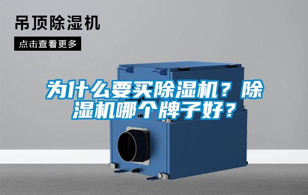 為什么要買除濕機？除濕機哪個牌子好？