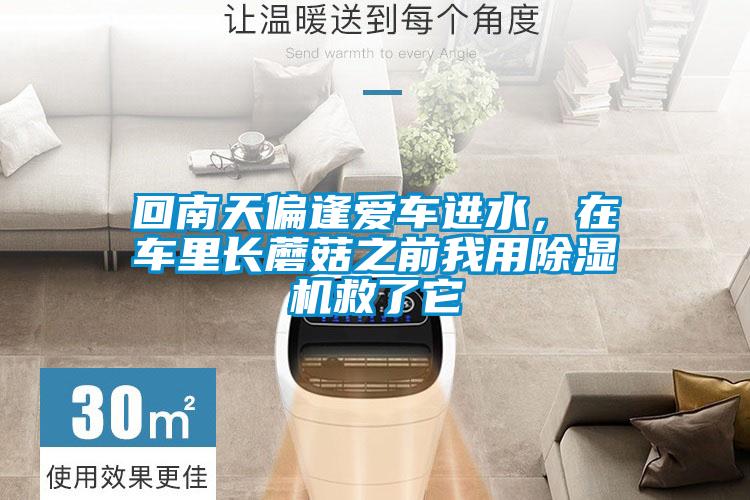 回南天偏逢愛車進(jìn)水，在車?yán)镩L蘑菇之前我用除濕機救了它