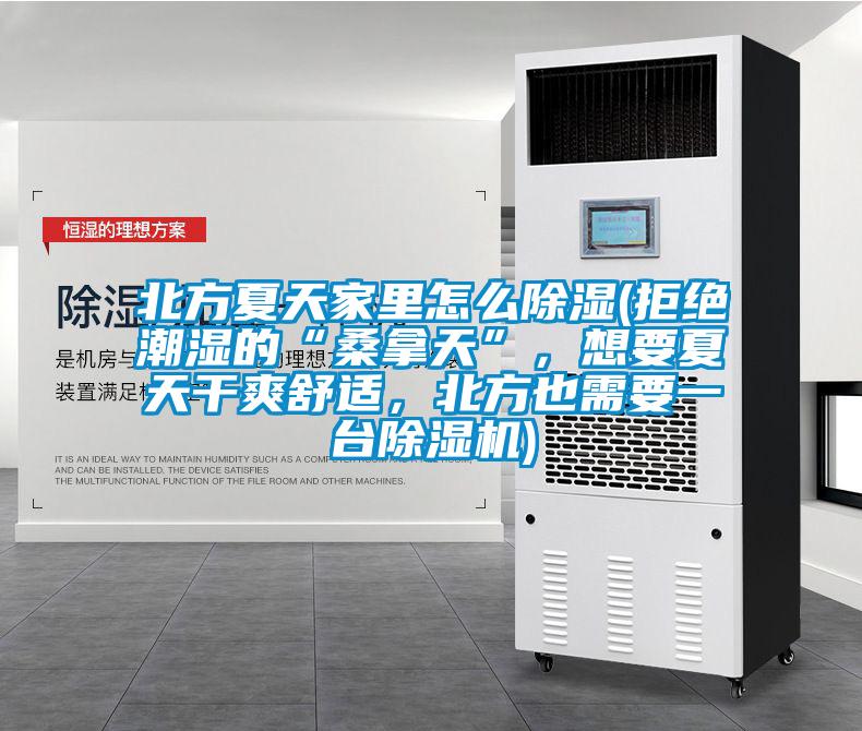 北方夏天家里怎么除濕(拒絕潮濕的“桑拿天”，想要夏天干爽舒適，北方也需要一臺除濕機)