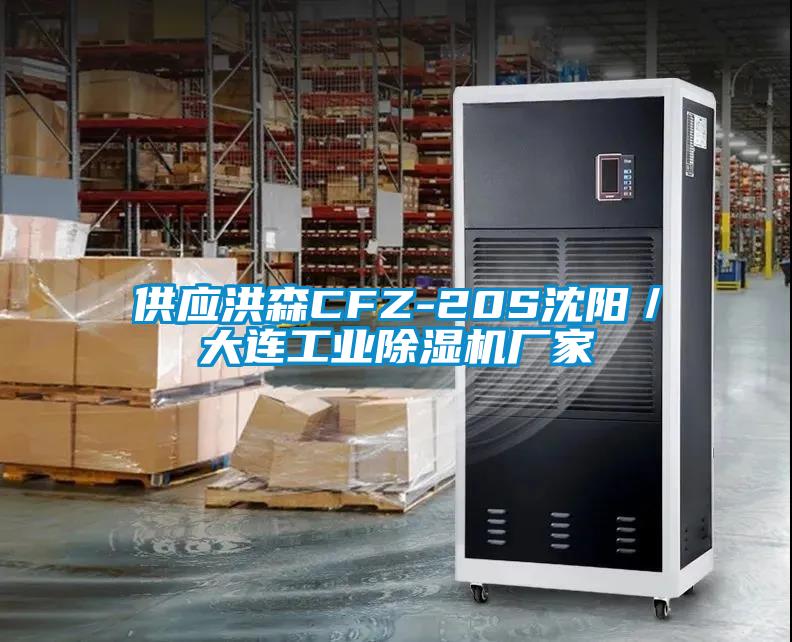 供應洪森CFZ-20S沈陽／大連工業除濕機廠家
