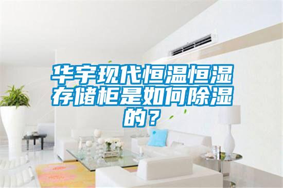 華宇現(xiàn)代恒溫恒濕存儲(chǔ)柜是如何除濕的？