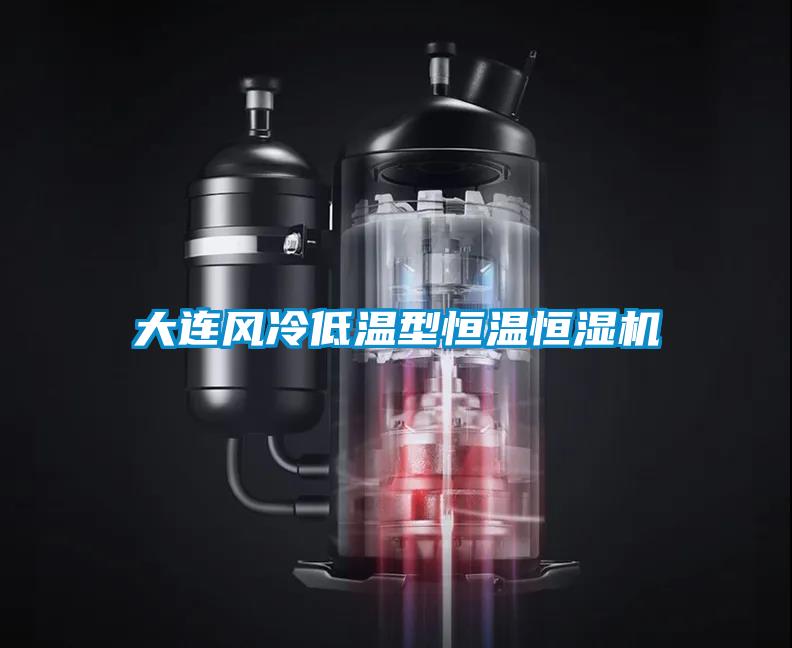 大連風(fēng)冷低溫型恒溫恒濕機