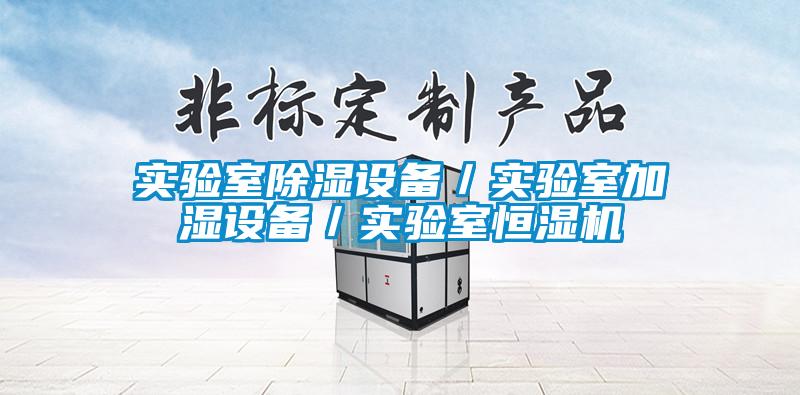 實(shí)驗(yàn)室除濕設(shè)備／實(shí)驗(yàn)室加濕設(shè)備／實(shí)驗(yàn)室恒濕機(jī)