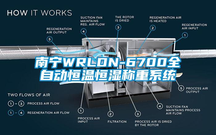 南寧WRLDN-6700全自動(dòng)恒溫恒濕稱重系統(tǒng)