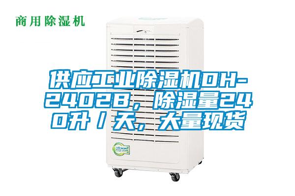 供應(yīng)工業(yè)除濕機(jī)DH-2402B，除濕量240升／天，大量現(xiàn)貨