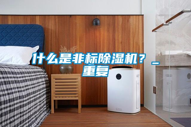 什么是非標除濕機？_重復