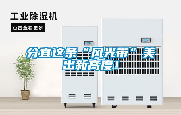 分宜這條“風光帶”美出新高度！