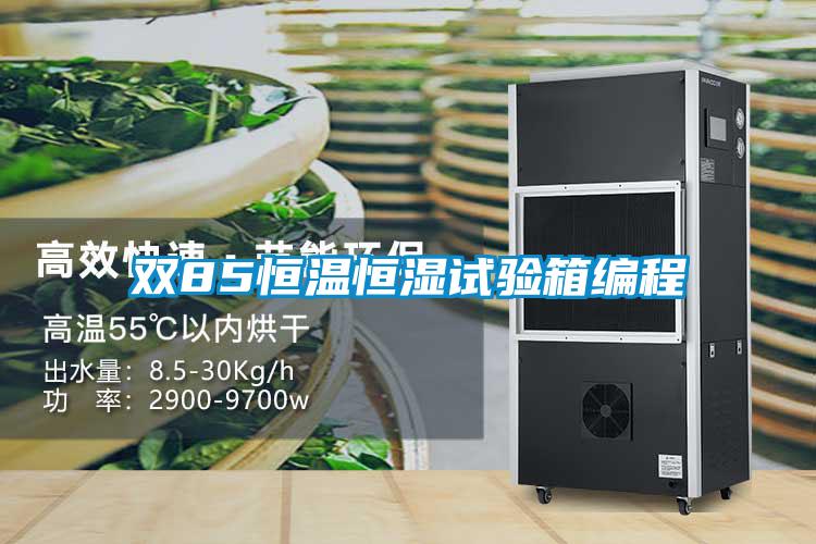 雙85恒溫恒濕試驗(yàn)箱編程
