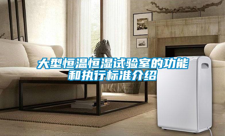 大型恒溫恒濕試驗室的功能和執行標準介紹