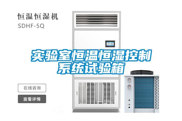 實(shí)驗室恒溫恒濕控制系統(tǒng)試驗箱