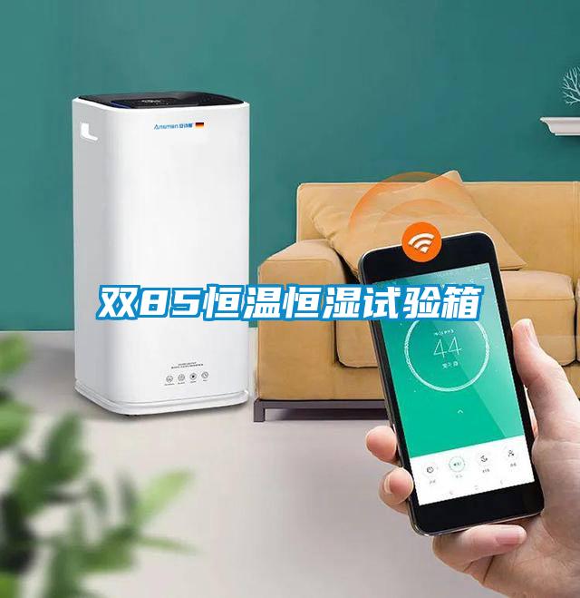 雙85恒溫恒濕試驗(yàn)箱