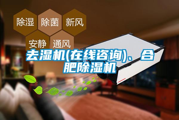 去濕機(在線咨詢)、合肥除濕機