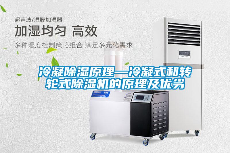 冷凝除濕原理—冷凝式和轉(zhuǎn)輪式除濕機的原理及優(yōu)劣