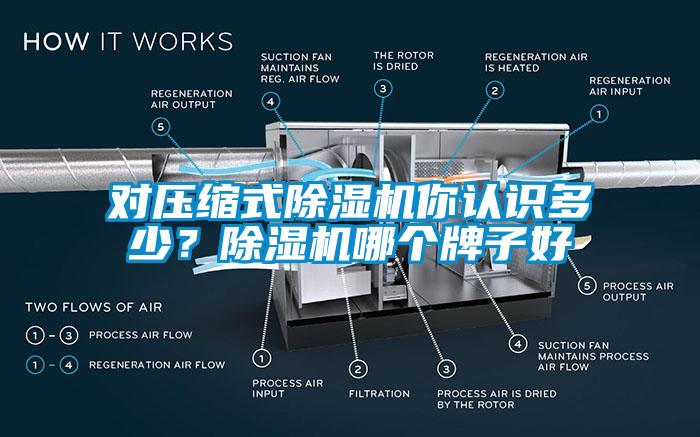 對壓縮式除濕機你認識多少？除濕機哪個牌子好