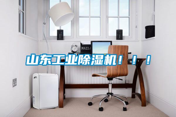 山東工業除濕機?。。?/></p>
						    <p style=