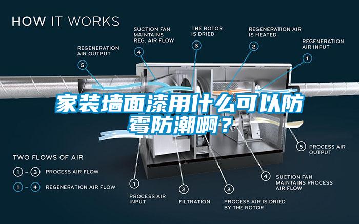 家裝墻面漆用什么可以防霉防潮啊？