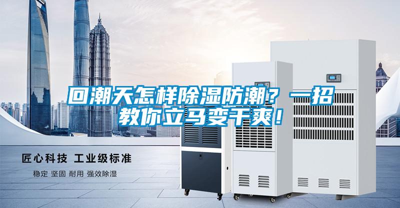 回潮天怎樣除濕防潮？一招教你立馬變干爽！