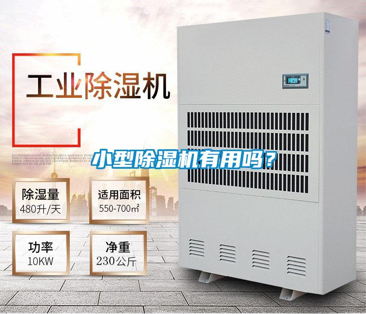 小型除濕機有用嗎？