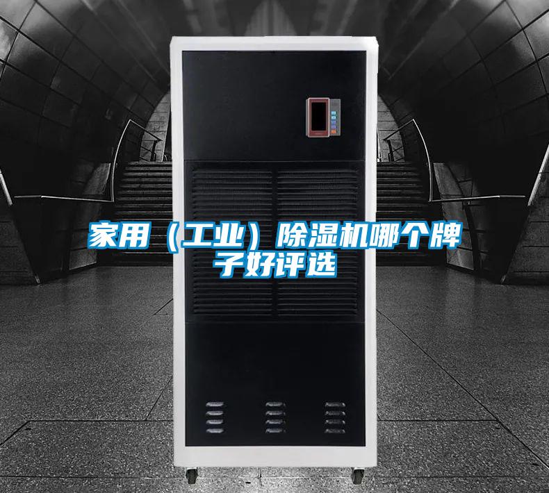 家用（工業(yè)）除濕機(jī)哪個牌子好評選