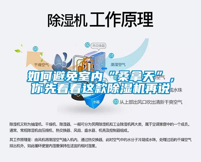 如何避免室內“桑拿天”，你先看看這款除濕機再說