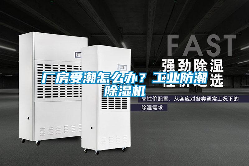 廠房受潮怎么辦？工業(yè)防潮除濕機(jī)
