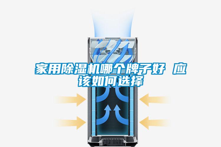 家用除濕機哪個牌子好 應該如何選擇