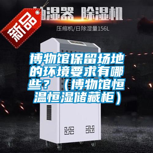 博物館保留場(chǎng)地的環(huán)境要求有哪些？（博物館恒溫恒濕儲(chǔ)藏柜）